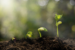 Are You Ready to Go Green Now That Spring Has Sprung?